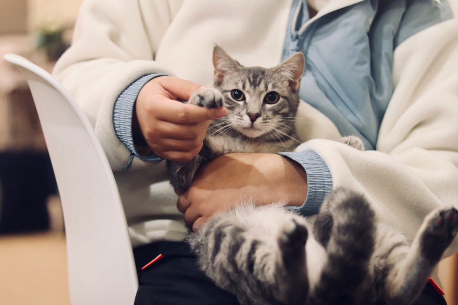 Tecnologías avanzadas para el cuidado de tus mascotas