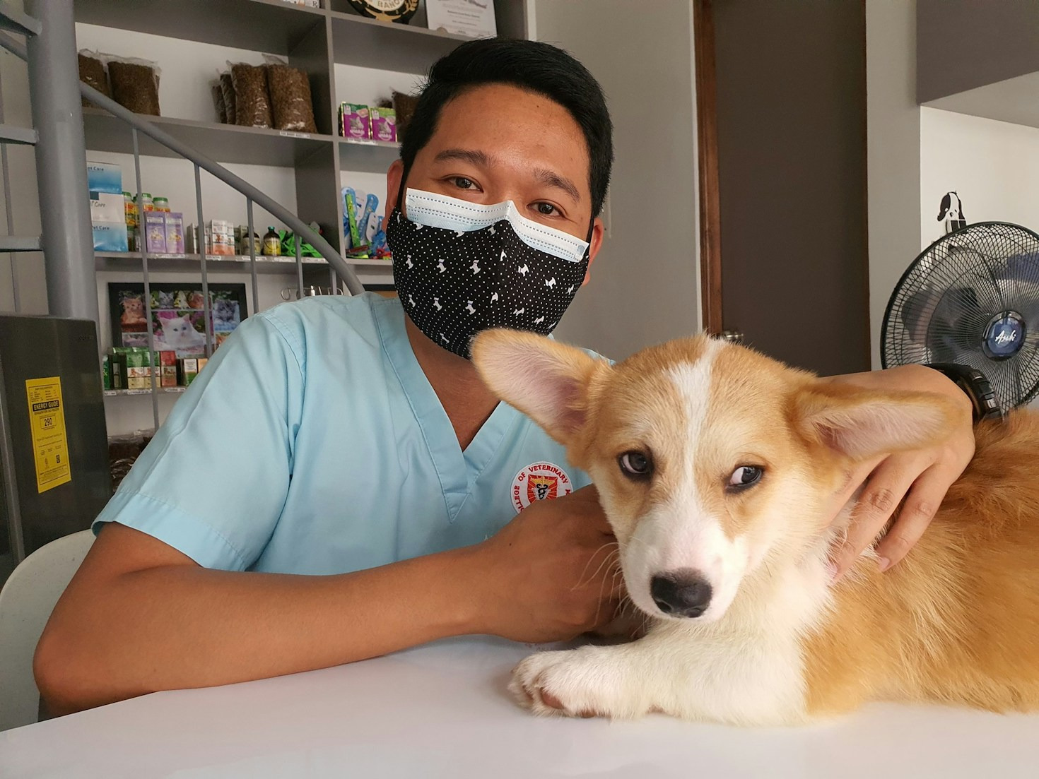 Cómo elegir el mejor veterinario para tu mascota